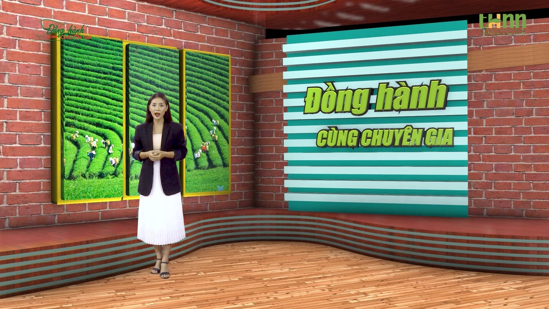 Đồng Hành Cùng Chuyên Gia, số thứ hai