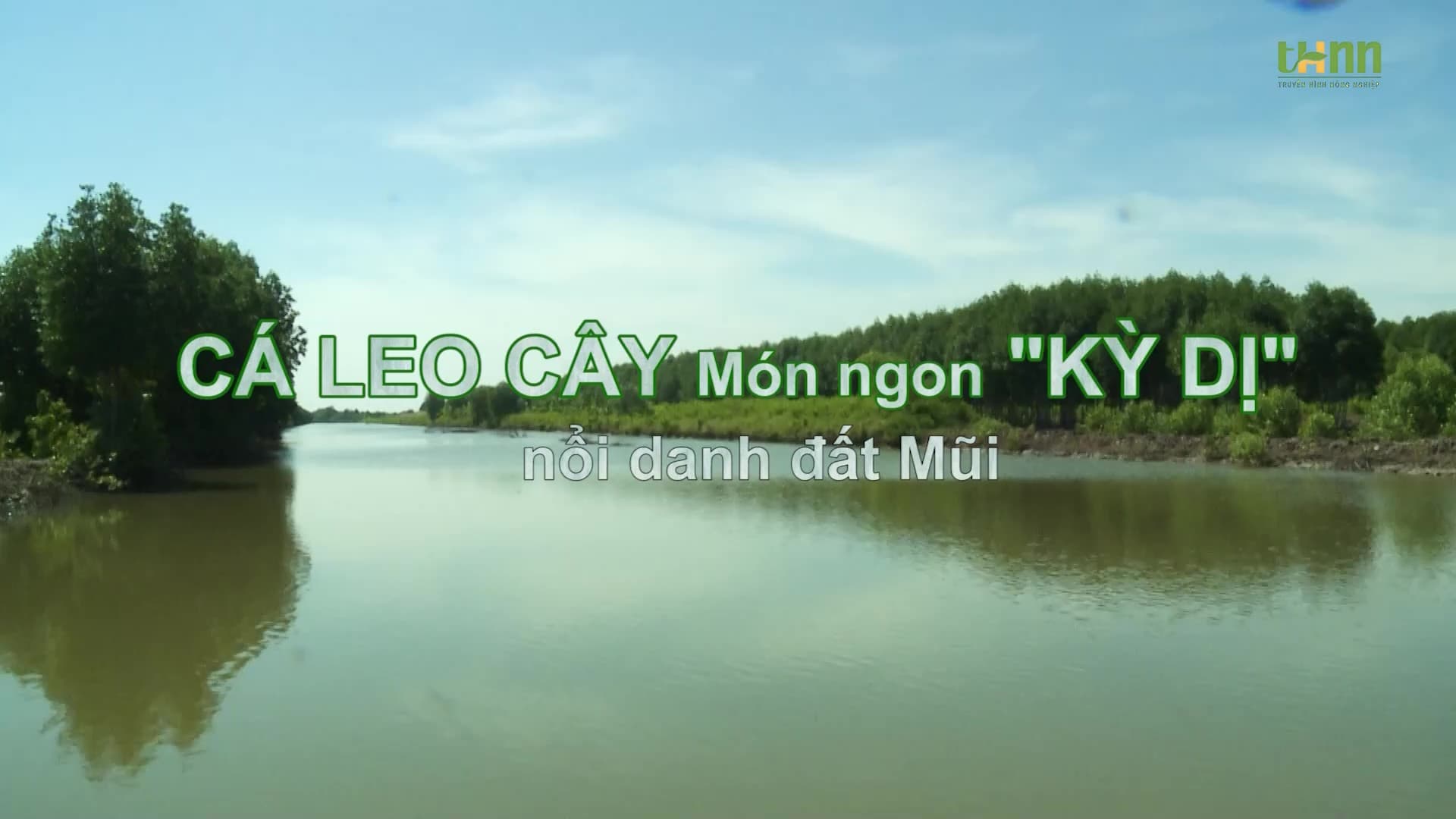 Cá leo cây - món ngon kỳ dị nổi danh đất Mũi