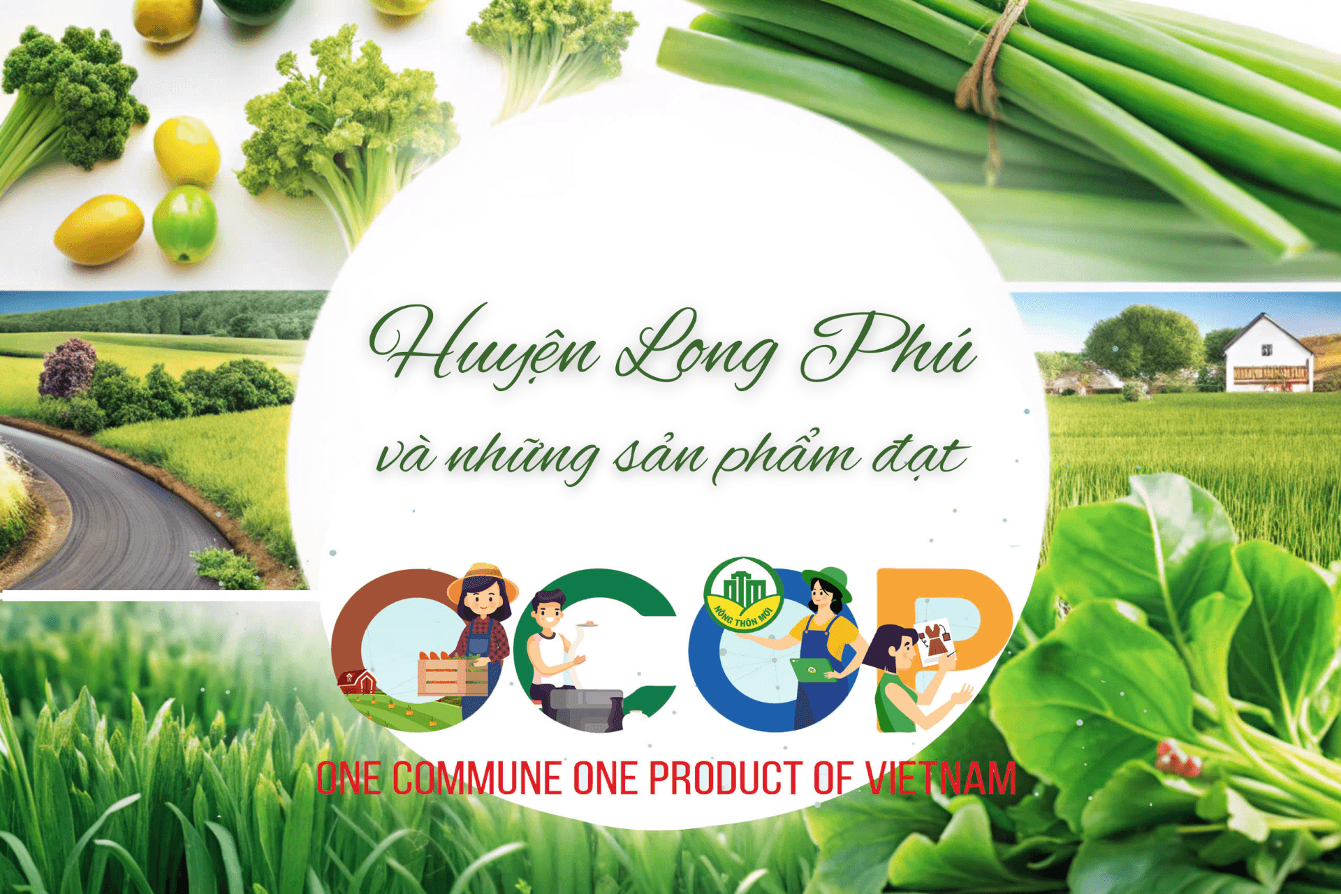 OCOP huyện Long Phú, tỉnh Sóc Trăng