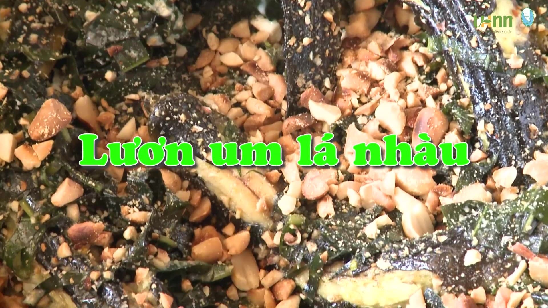 Lươn um lá nhàu