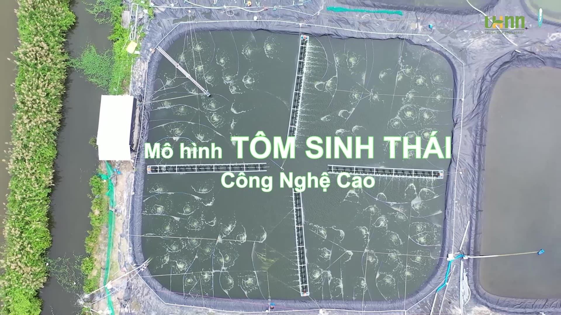Mô hình Tôm sinh thái công nghệ cao