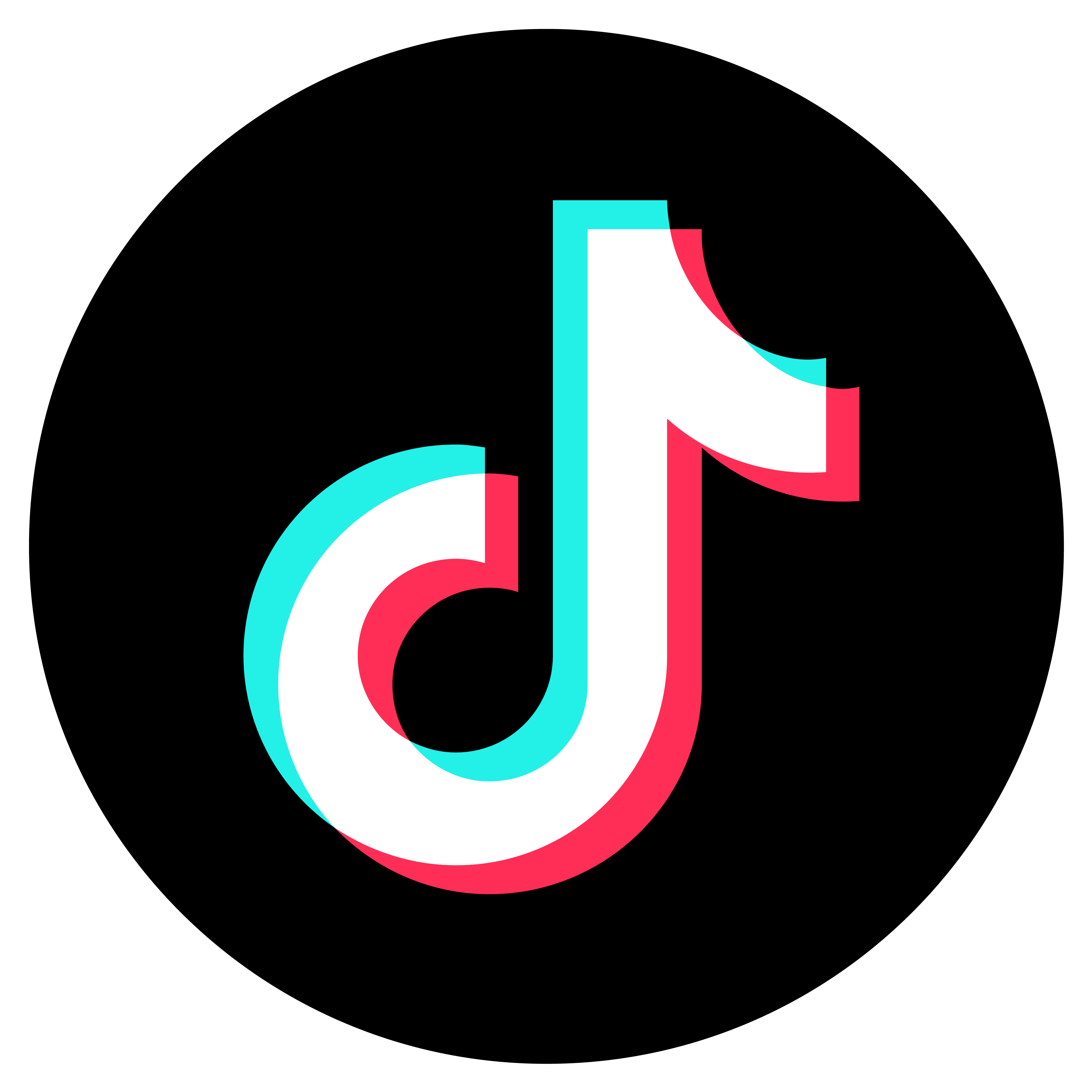 logo_Tiktok